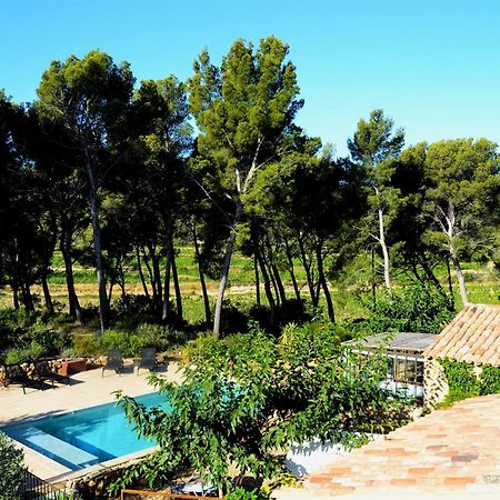 Les Pieds Tanques - Chambres D'Hotes - Calanque A Pieds Saint-Cyr-sur-Mer Ngoại thất bức ảnh