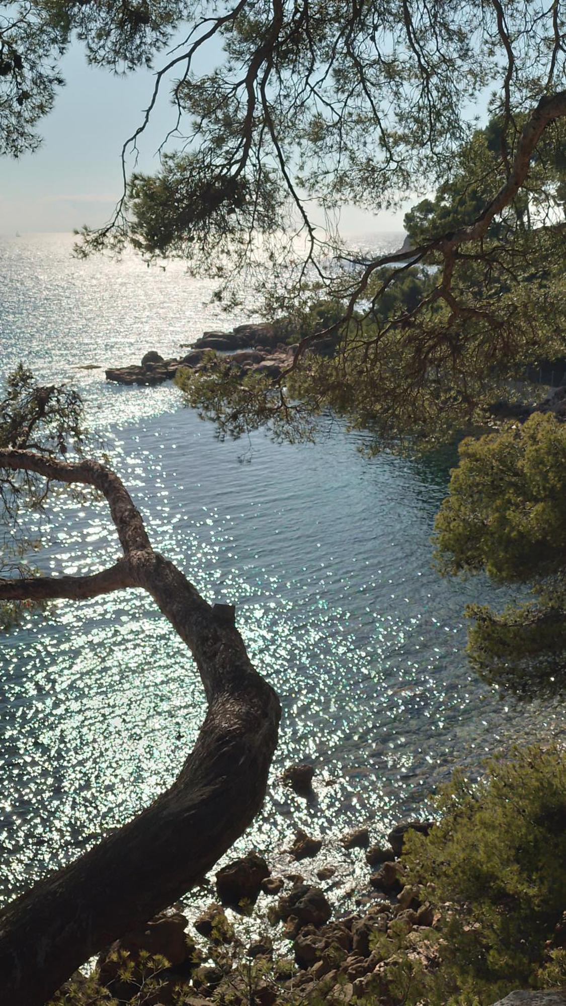 Les Pieds Tanques - Chambres D'Hotes - Calanque A Pieds Saint-Cyr-sur-Mer Ngoại thất bức ảnh
